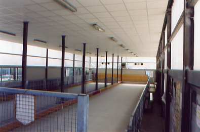  Cos&igrave; si presenta il gioco bocce rinnovato. 