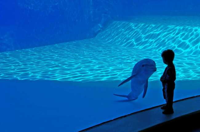  Intesa - foto Giancarlo Moro. 