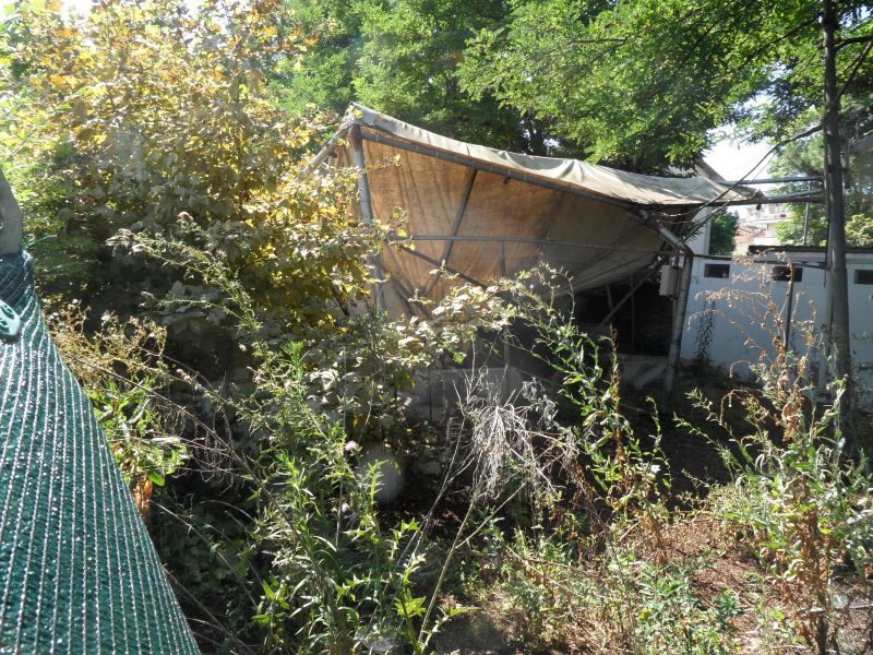  Come &egrave; oggi nel 2014. 